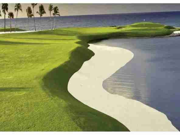 ID , Reduced Price Land for Sale in Ciudad Las Canas, Cap Cana ()