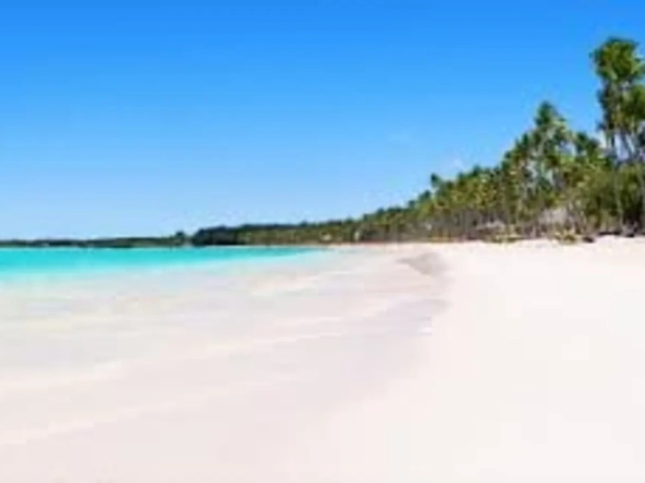 ID Warehouses for Sale in Punta Cana at Axel Park – Currently Under Construction ()