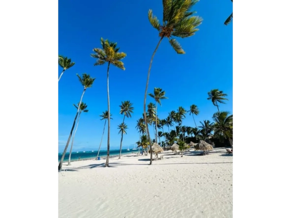 ID Atlantic Palm Residences – Luxury Bedroom Villa for Sale in White Sands, Punta Cana ()