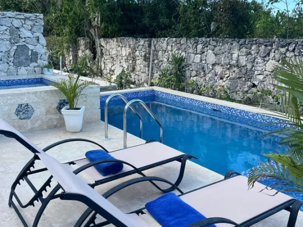 ID Three Bedroom Drake Plus Villas for Sale in Punta Cana ()