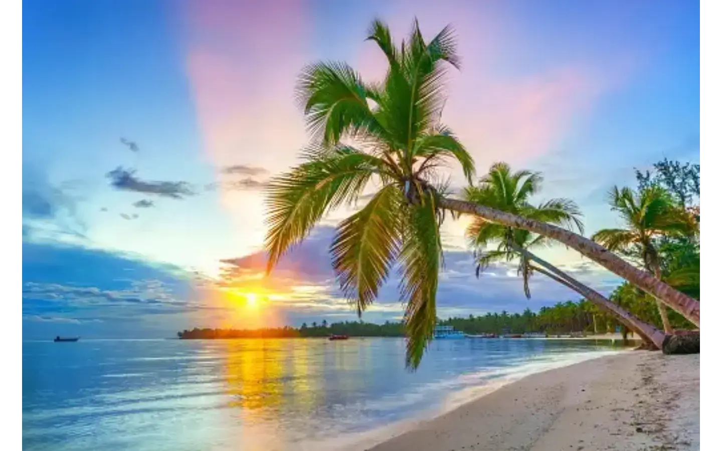 ID , Harper Paradise — Stylish BR Penthouse for Sale in Bávaro ()