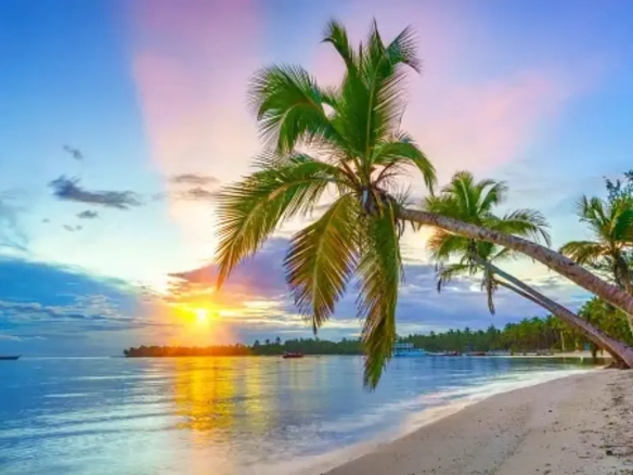 ID Own a Stylish Bedroom Smart Home in Bavaro Island II, Punta Cana ()