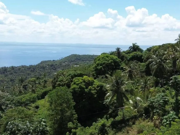 ID Samaná Real Estate Monte Rojo Ocean View Hillside Land and Lots ()