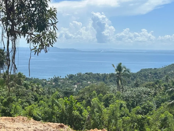 ID Samaná Real Estate Monte Rojo Ocean View Hillside Land and Lots ()