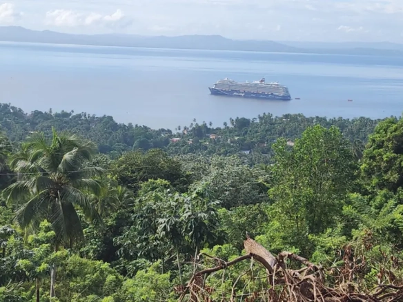 ID Samaná Real Estate Monte Rojo Ocean View Hillside Land and Lots ()
