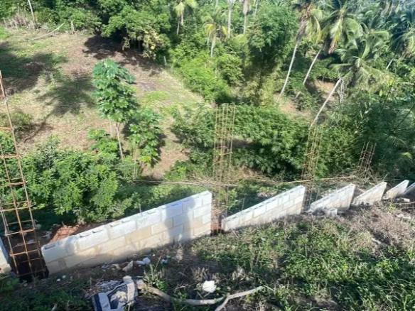 ID Samaná Real Estate Monte Rojo Ocean View Hillside Land and Lots ()