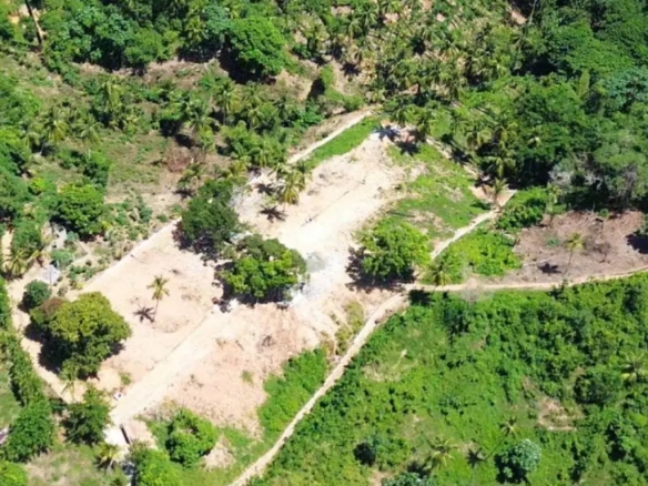ID Samaná Real Estate Monte Rojo Ocean View Hillside Land and Lots ()
