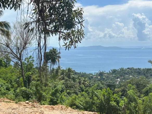 ID Samaná Real Estate Monte Rojo Ocean View Hillside Land and Lots ()