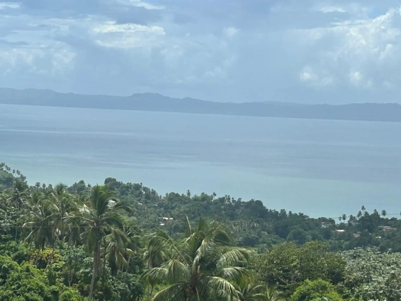 ID Samaná Real Estate Monte Rojo Ocean View Hillside Land and Lots ()